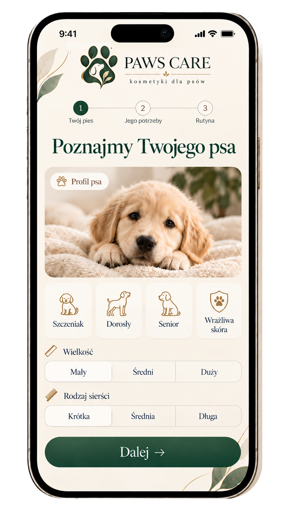 Wybór profilu