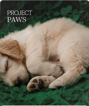 Śpiące psy w projekcie sklepu PAWS